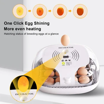 Инкубатор на 16 яиц С автоматическим пополнением запасов ионной воды И контролем температуры Инструмент для инкубации перепелиных цыплят на ферме