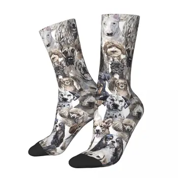 Ретро Собаки Акварельные мужские носки Любитель собак Унисекс Уличный стиль Бесшовные носки с принтом Crazy Crew Подарок